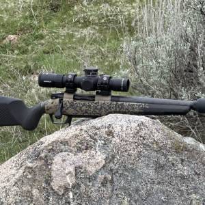 GUNWERKS Skunkwerks Tiny AF 6 ARC Rifle Package