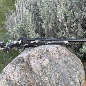 CARBON ROGUE XP 6.5 PRC 20" URBAN/BLACK