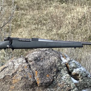 Weatherby Mark V® Accumark 270 WBY MAG