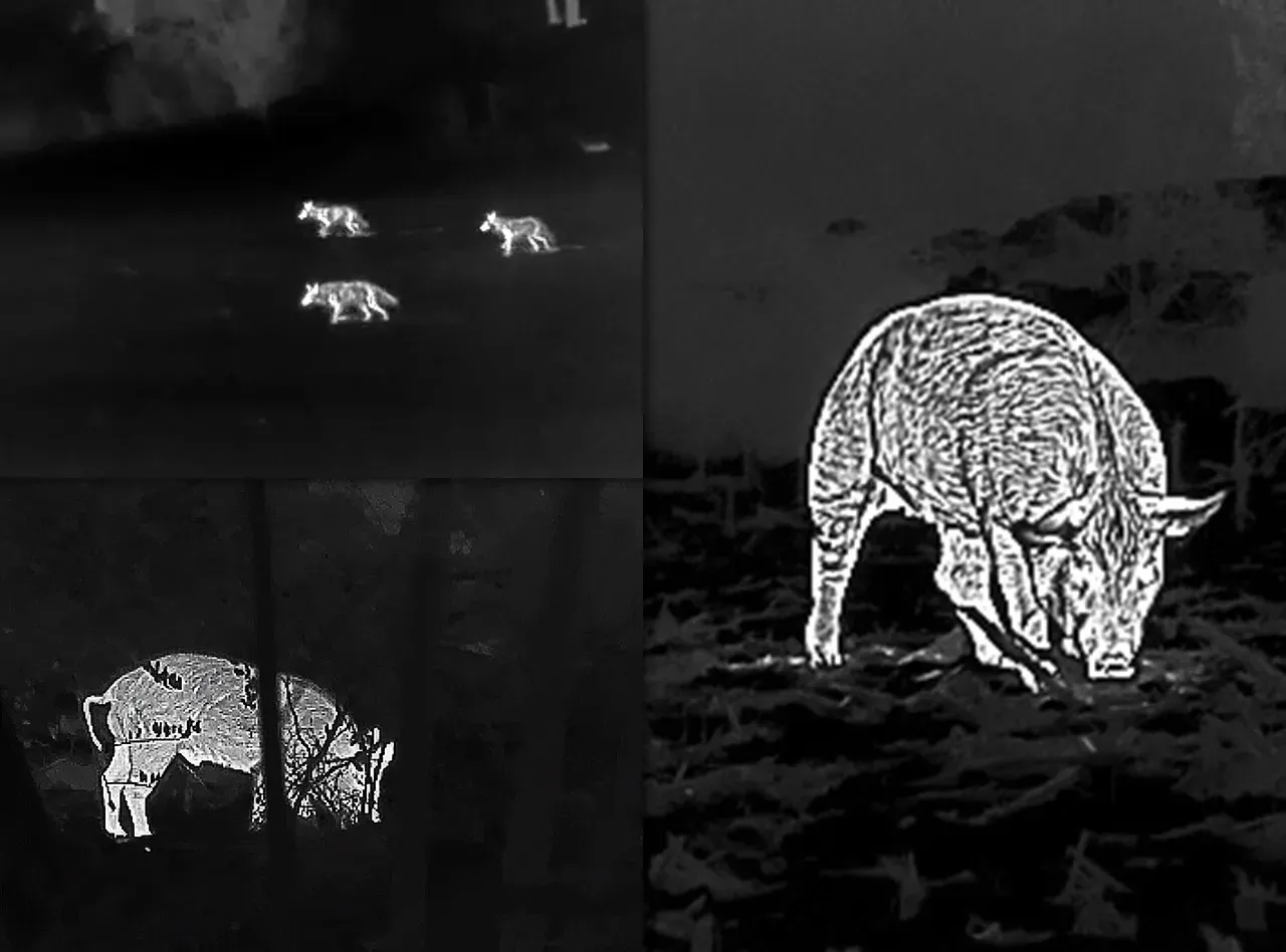 VORTEX Veil™ 400 Thermal Monocular - Image 5