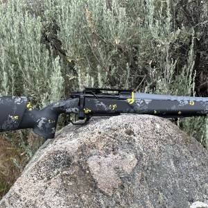 HORIZON FIREARMS VENATIC RIFF 22 CREEDMOOR 13" SBR